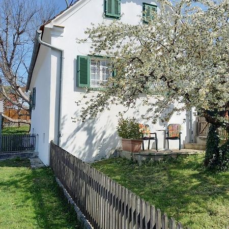 Ferienhaus im Thermenland  Ilz Exterior foto