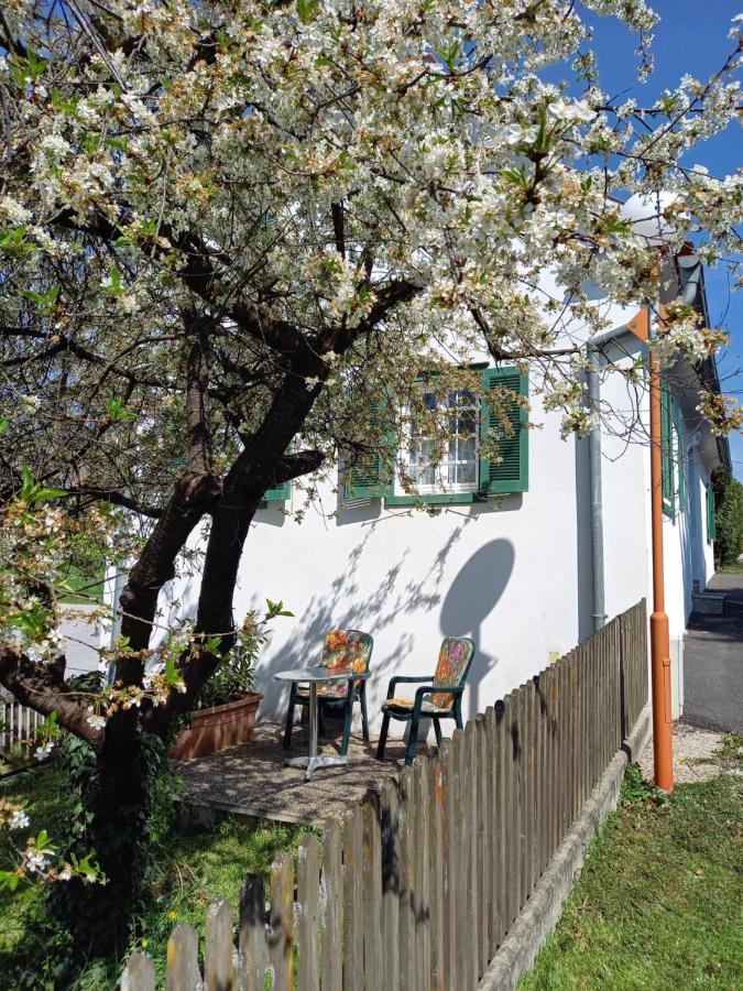Ferienhaus im Thermenland  Ilz Exterior foto