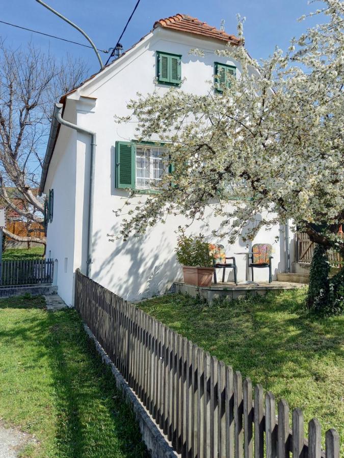 Ferienhaus im Thermenland  Ilz Exterior foto